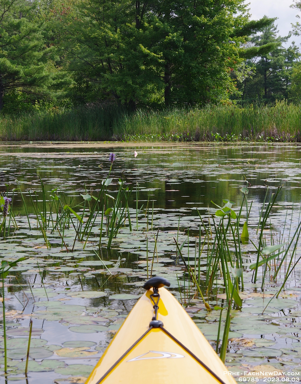 69785CrLe - Vacationing at Hammock Harbour - Kayaking the top end of Lake Couchiching and the channels in Washago